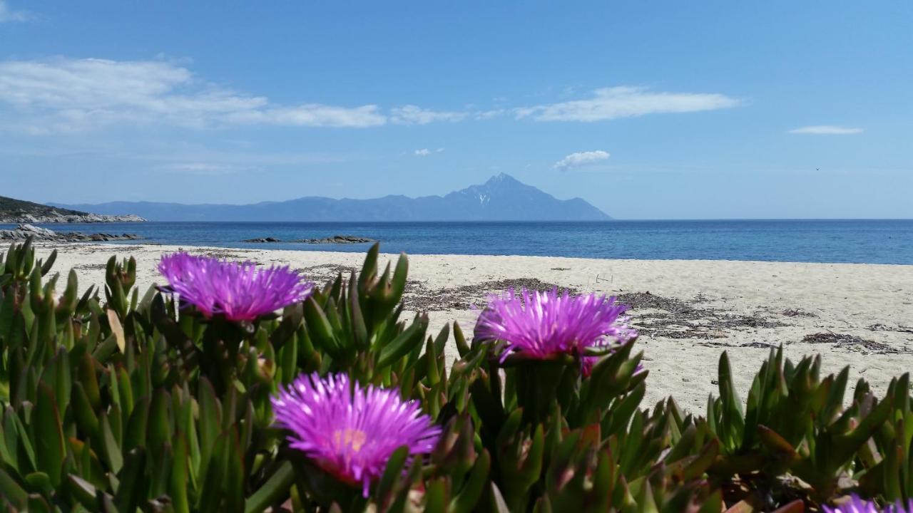 Villa Maria Sarti Luaran gambar